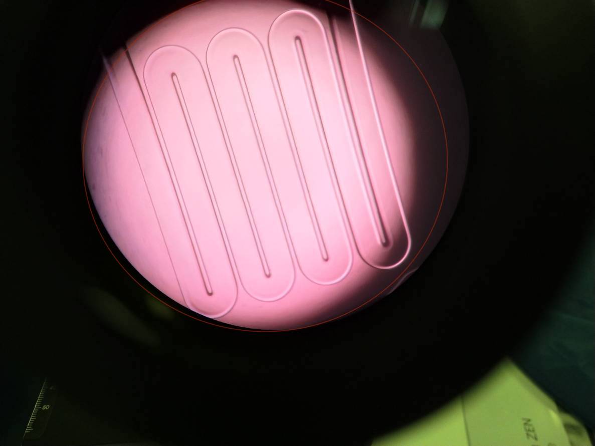 Medical Biosensor Laboratory