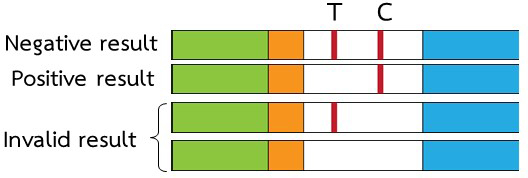 Rapid Lateral Flow Immunochromatographic Strip Tests (LFICS) for the Detection of Albumin in Urine