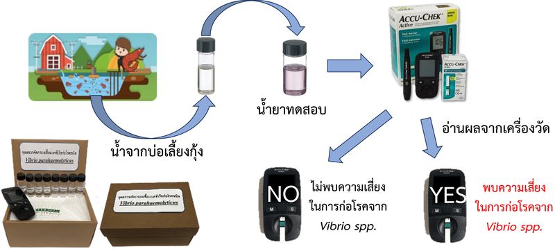 Research Unit for Sensor Innovation at BUU